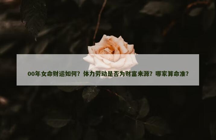 00年女命财运如何？体力劳动是否为财富来源？哪家算命准？