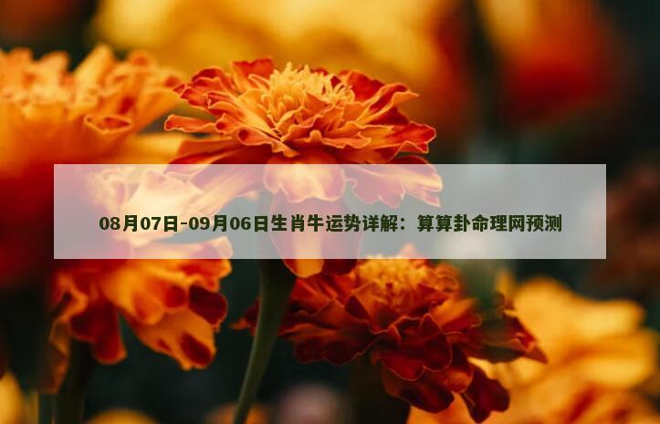 08月07日-09月06日生肖牛运势详解：算算卦命理网预测