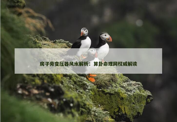 房子旁变压器风水解析：算卦命理网权威解读