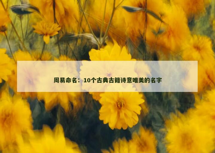 周易命名：10个古典古籍诗意唯美的名字