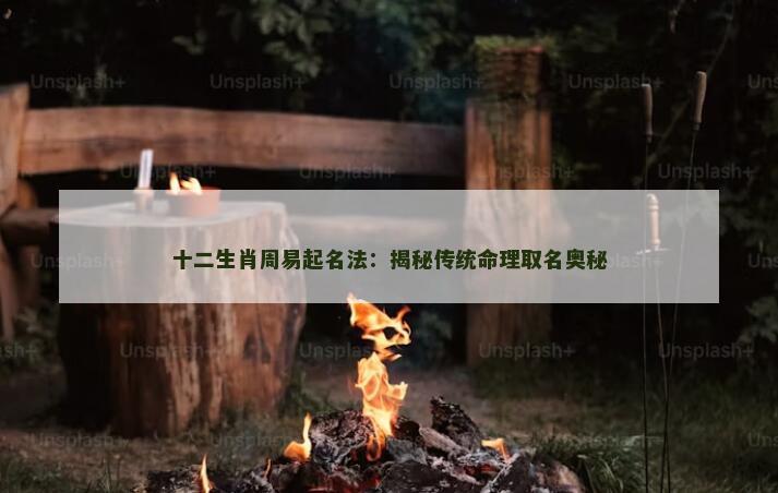 十二生肖周易起名法：揭秘传统命理取名奥秘